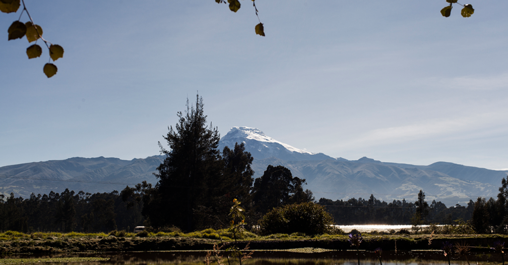 cayambe